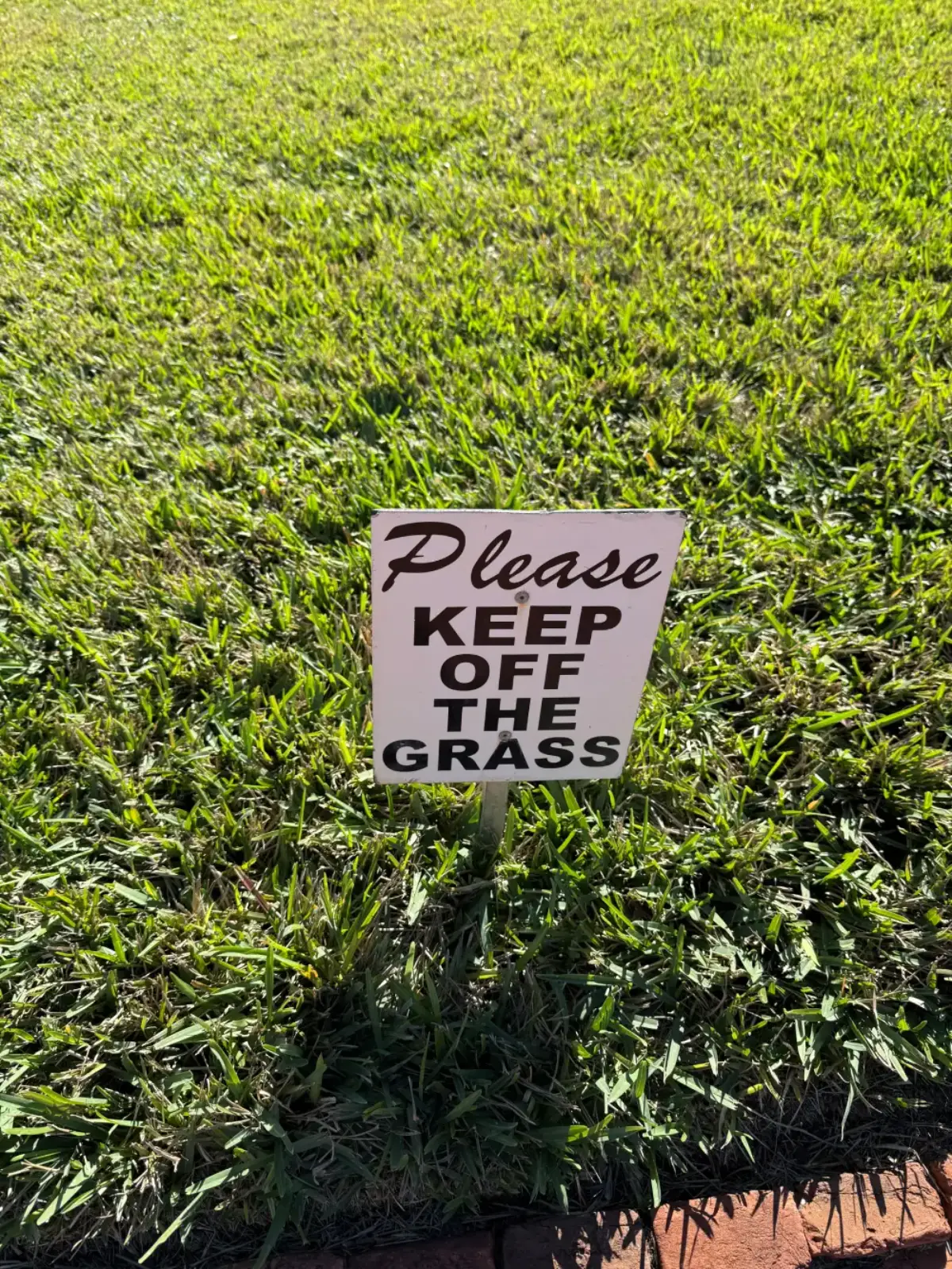 Grass